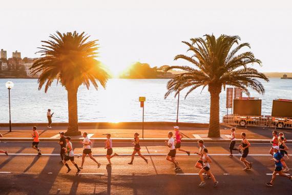 Runaway Sydney